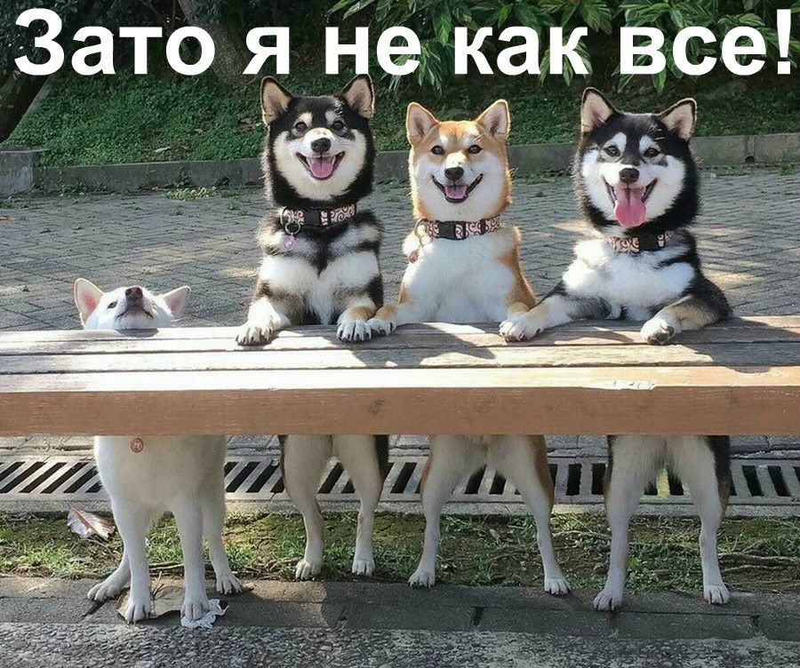 Зато наэкаквсе Л