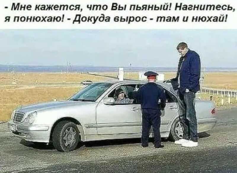 Мне кажется что Вы пьяный Нагнитесь я понюхаю докуда вырос там и нюхай