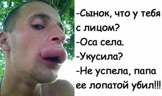 Сь1нок что у тебя _ с лицом Оса села Укусила Не успела папа ее лопатой убил