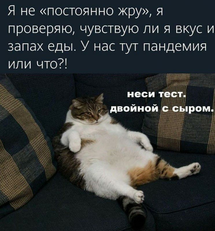 Я не постоянно жру я проверяю чувствую ли я вкус и запах еды У нас тут пандемия или что
