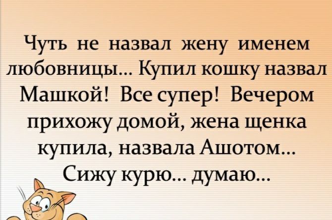Чуть не назвал жену именем любовницы Купил кошку назвал Машкой Все супер Вечером прихожу домой жена щенка купила назвала Ашотом Сижукурюдумаю