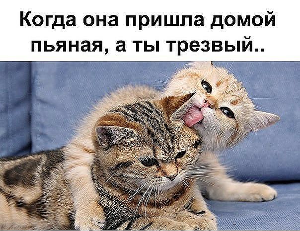 Когда она пришла домой пьяная а ты трезвый