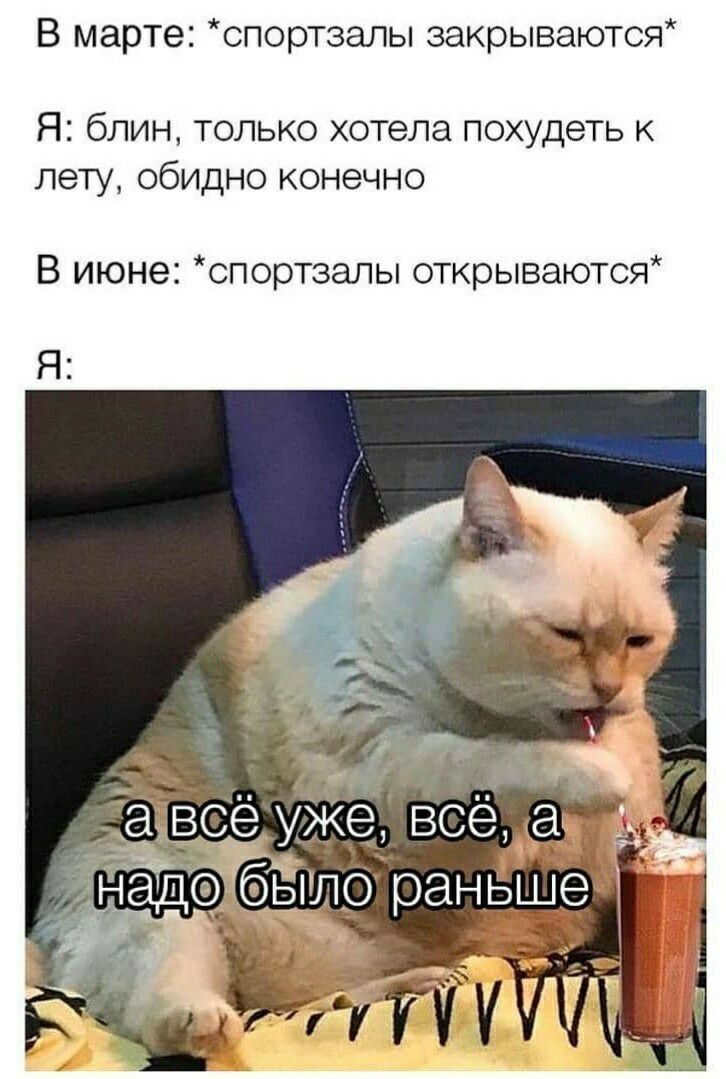 В марте спортзалы закрываются Я блин только хотела похудеть к лету обидно конечно В июне спортзалы открываются Я