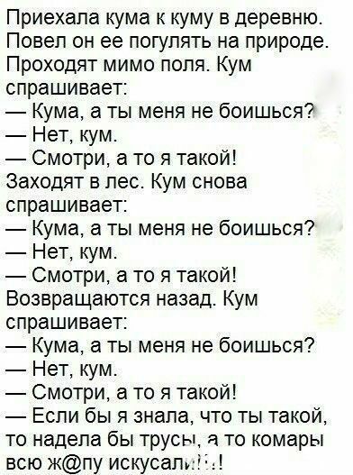 Приехапа кума к куму в деревню Повеп он ее погулять на природе Проходят мимо попя Кум спрашивает Кума а ты меня не боишься Нет кум Смотри а то я такой Заходят в лес Кум снова спрашивает Кума а ты меня не боишься Нет кум Смотри а то я такой Возвращаются назад Кум спрашивает Кума а ты меня не боишься Нет кум Смотри а то я такой Если бы я знала что ты такой то надепа бы трусы а то комары всю кпу иску