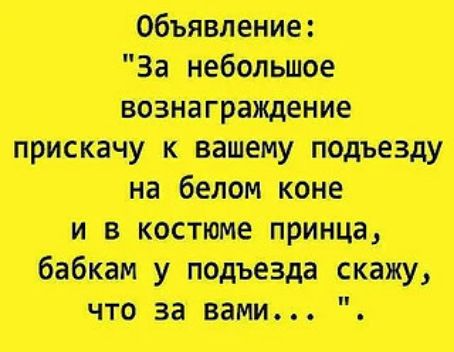 тики птиц питт п иш туши т тит