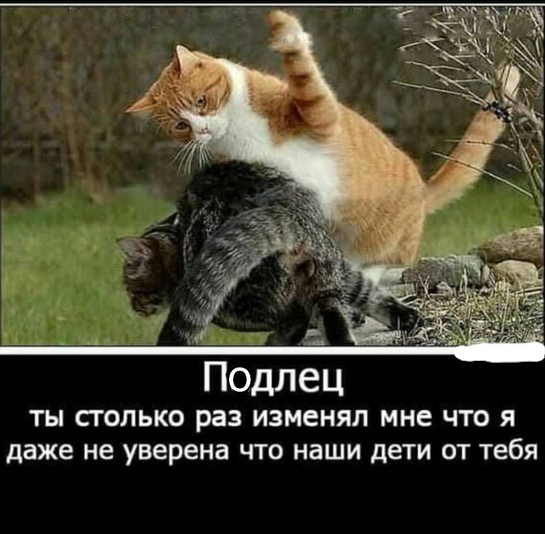 ТЫ СТОЛЬКО раз ИЗМЕНЯЛ МНЕ ЧТО Я даже не уверена ЧТО НдШИ дЕТИ ОТ Тебя