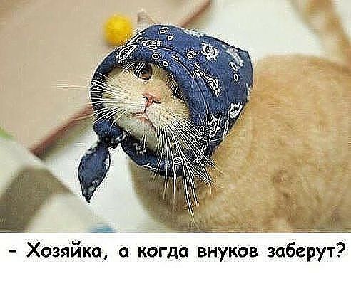 Хозяйка когда внуков заберут