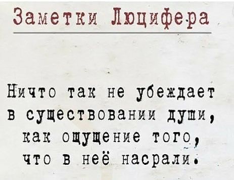 Заметки Люцифера Ничто так не убеждает в существовании души как ощущение тог9 что в неё насрали
