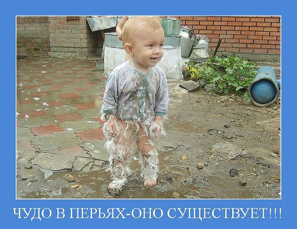 _ ЧУДО В ПЕРЬЯХ ОНО СУТЦЕСТВУЕТ