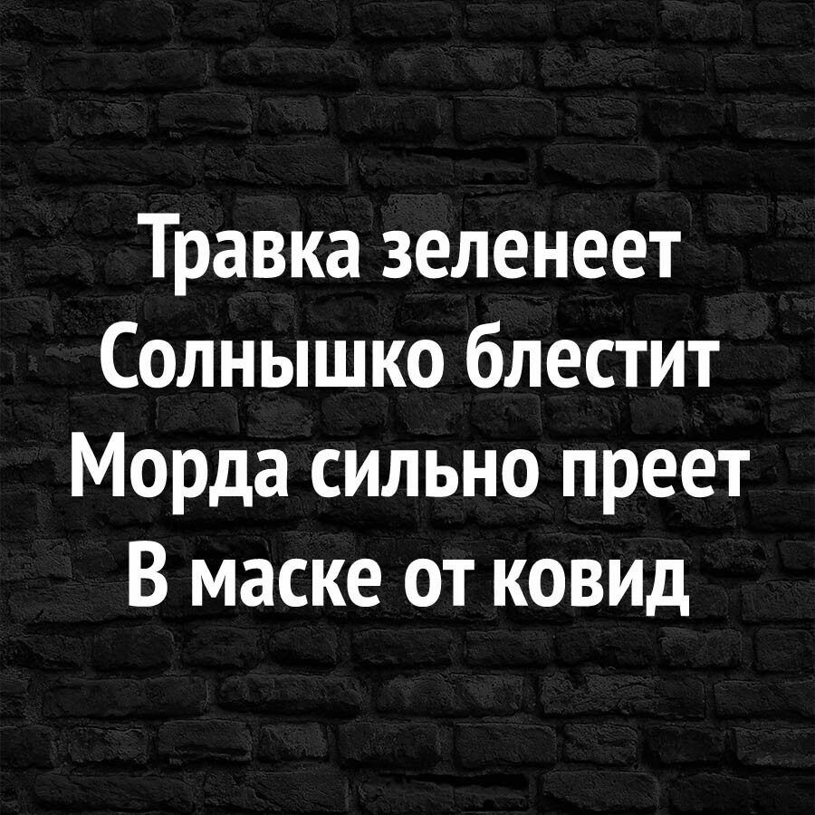 Травка зеленеет Солнышко блестит Морда сильно преет В маске от ковид