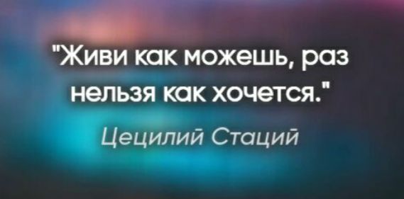 Живи как можешь роз нельзя как хочется
