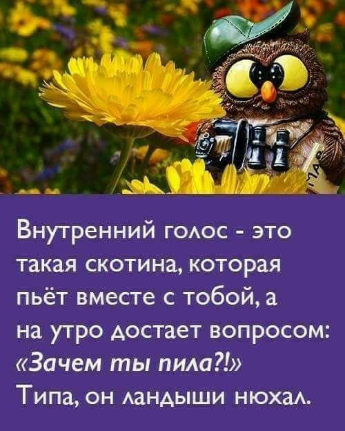 Внутренний гоос это такая скотина которая пьёт вместе с тобой а на утро достает вопросом Зачем ты пила Типа он АаНАЫШИ НЮХЗА