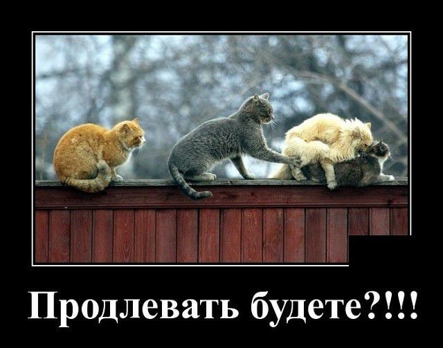 Продлевать будете