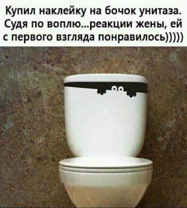 Купил наклейку на бочок унитаза Судя по воплюреакции жены ей с первого взгляда понравилось