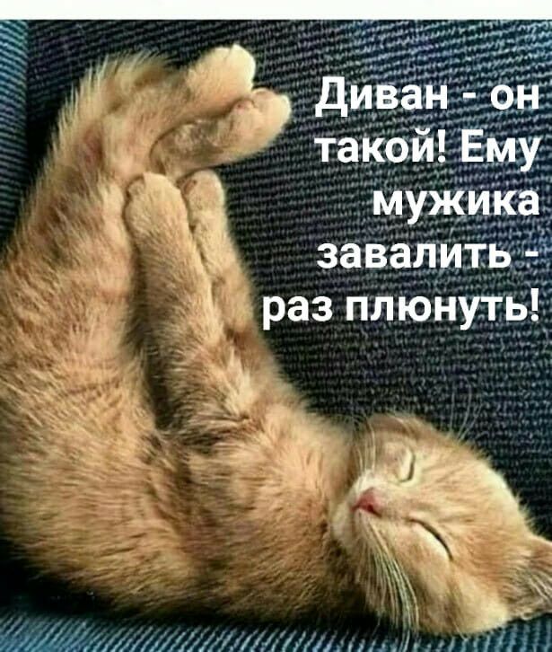 Ирэ эур 3 уал террут, одииинсниииниробииу