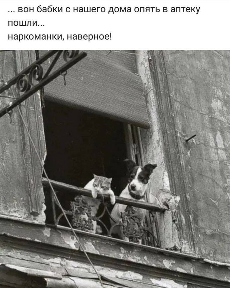 вон бабки с нашего дома опять в аптеку пошли наркоманки наверное