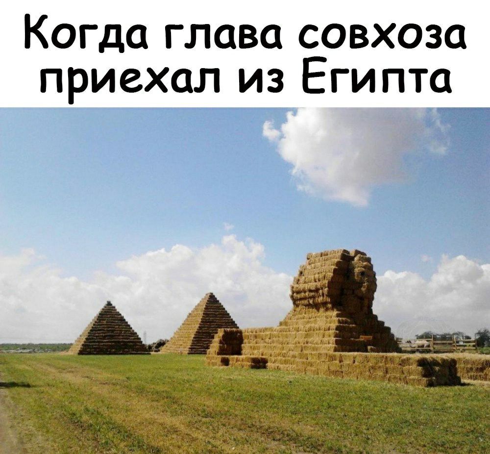 Когда глава совхоза приехал из Египта