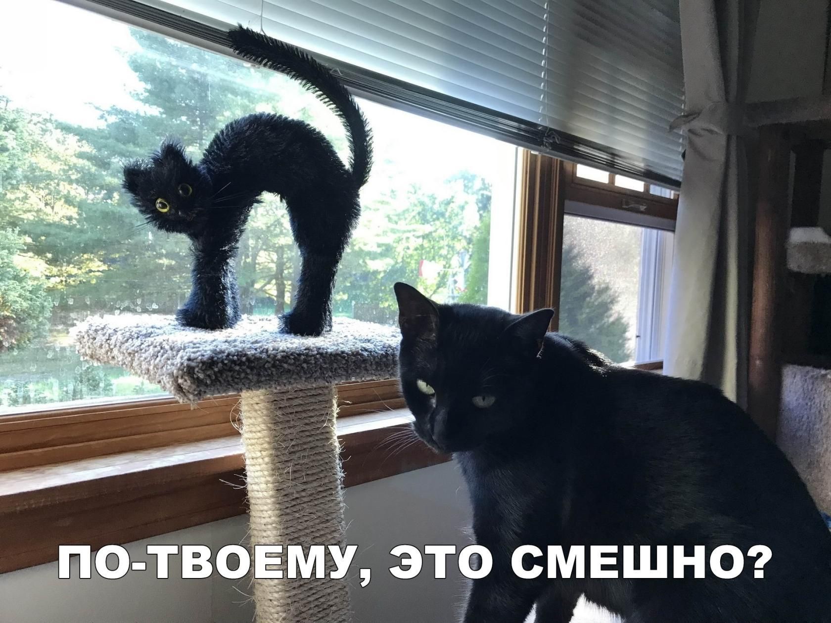 Д'тво 'м это смешно?