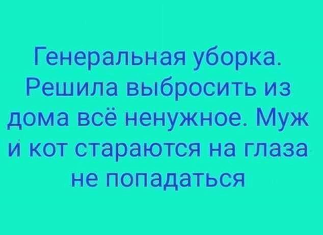 Генеральная уборка. Дома всё ненужное. Муж и кот стараются на глаза не попадаться