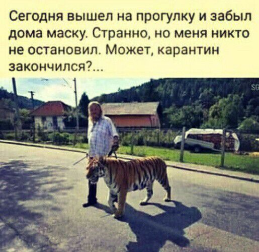 Сегодня вышел на прогулку и забыл дома маску Странно но меня никто не остановил Может карантин эакончился