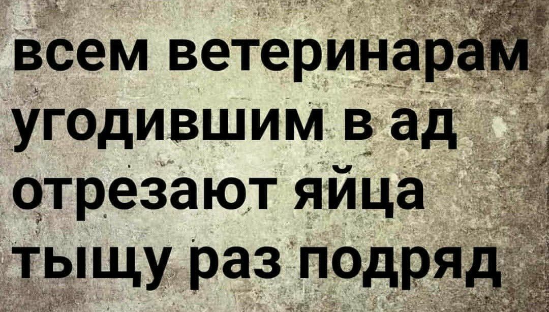 всем ветеринар угодившим в ад _ отрезают яйца тыщураз ПдРя