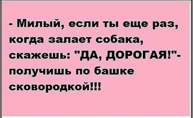 Милый если ты еще раз когда запает собака скажешь дА дОРОГАЯ получишь по башке сковородкой