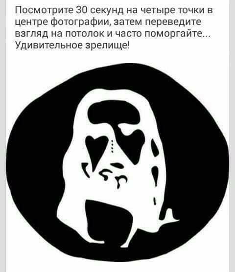 Посмотрите 30 секунд на четыре точки в центре фототрафии затем переведите взгляд на потолок и часто поморгайте Удивительное зрелище