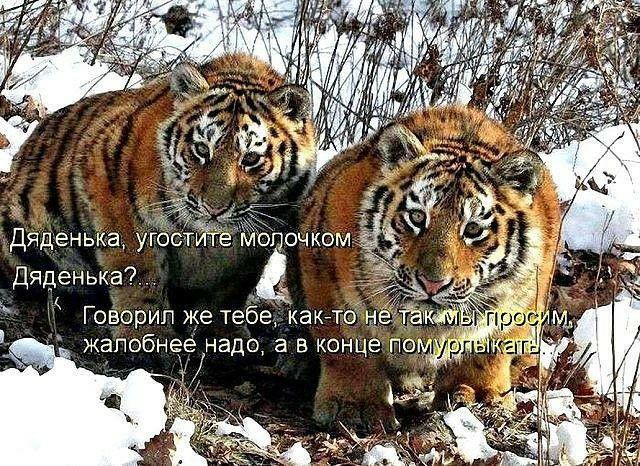 Дяден ьк_а Гозорип же тебе какгто жапобнее надо а в конце по