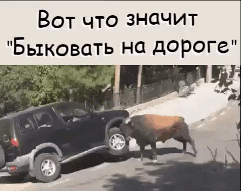 Вот что значит Быковать на дороге