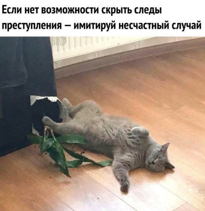 Если нет возможности скрыть следы преступления имитируй несчастный случай