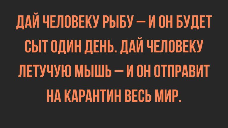 ПАЙ ЧЕЛОВЕКУ РЫБУ и он БУДЕТ сыт один ЛЕНЬ ДАЙ ЧЕЛОВЕКУ летучую мышь и он отпрдвит нд кдрднтин весь мир