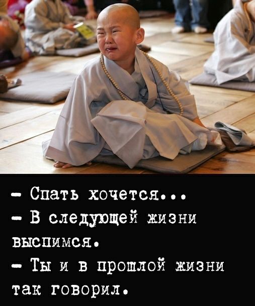 Спать хочется В следующей жизни выспимся Ты и в прошлой жизни так говорил