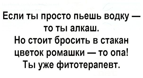 Если ты просто пьешь водку то ты алкаш Но стоит бросить в стакан цветок ромашки то опа Ты уже фитотерапевт