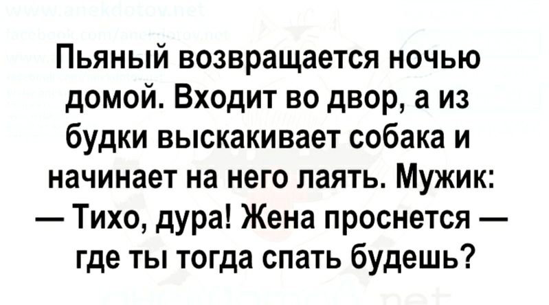 Пьяный возвращается ночью домой Входит во двор а из будки выскакивает собака и начинает на него лаять Мужик Тихо дура Жена проснется где ты тогда спать будешь