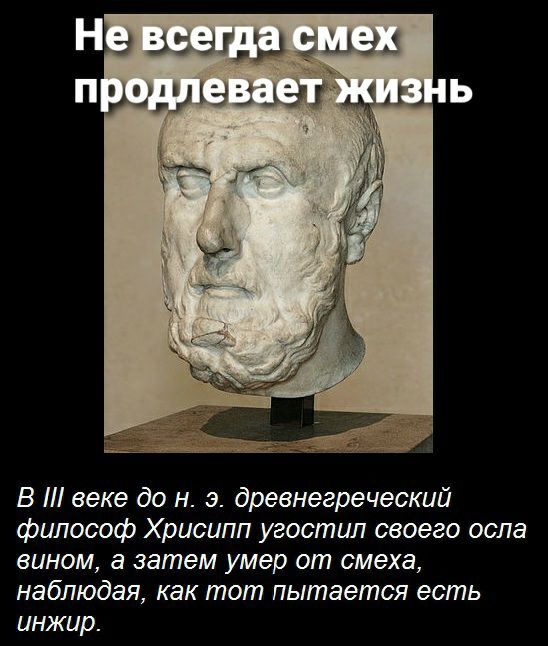 А ЭА В 11 веке до н э древнегреческий философ Хрисипп угостил своего осла вином а затем умер от смеха наблюдая как тот пытается есть инжир