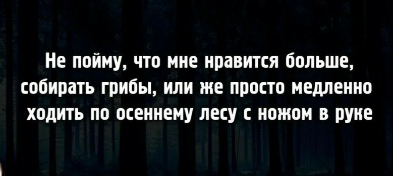 Не пойму что мне нравится больше собирать грибы или же просто медленно ходить по осеннему лесу с ножом в руке