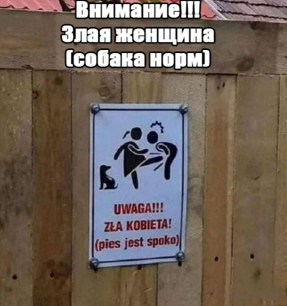 тчвпиизнпыпёёё Злая женщина шпана нони