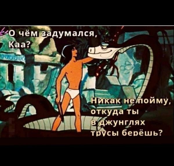 ШЩ жунгдях т сы берёшь