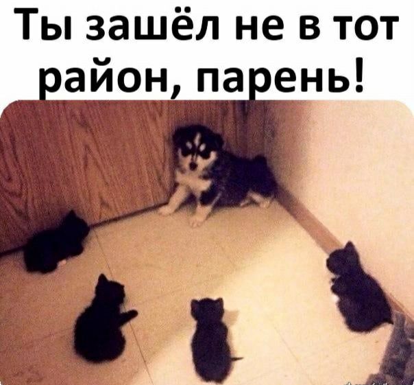 Ты зашёл не в тот оайонпа ень