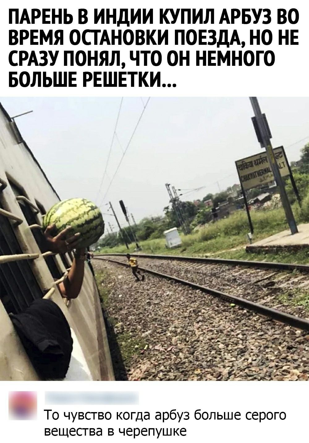 ПАРЕНЬ В ИНДИИ КУПИЛ АРБУЗ ВО ВРЕМЯ ОСТАНОВКИ ПОЕЗДА НО НЕ СРАЗУ ПОНЯЛ ЧТО ОН НЕМНОГО БОЛЬШЕ РЕШЕТКИ То чувство когда арбуз больше серого вещества в черепушке