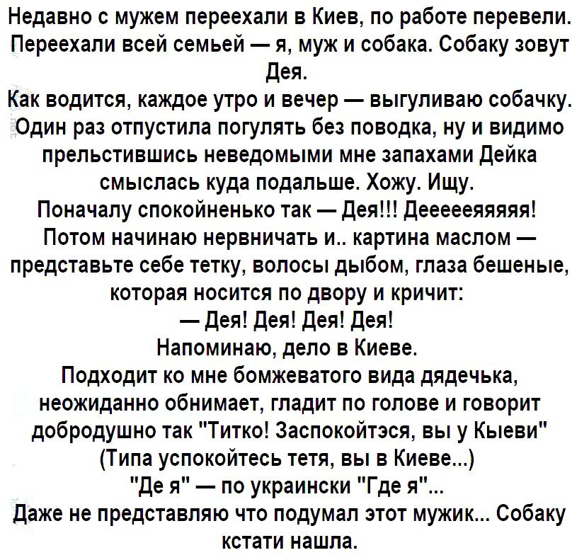 Недавно с мужем переехали в Киев по работе перевели Переехали всей семьей я муж и собака Собаку зовут Дея Как водится каждое утро и вечер выгуливаю собачку Один раз отпустила погулять без поводка ну и видимо прельстившись неведомыми мне запахами Дейка смыслась куда подальше Хожу Ищу Поначалу спокойненько так Дея Деееееяяяяя Потом начинаю нервничать и картина маслом представьте себе тетку волосы ды