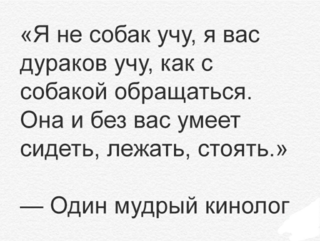 Я не собак учу я вас дураков учу как с собакой обращаться Она и без вас умеет сидеть лежать стоять Один мудрый кинолог