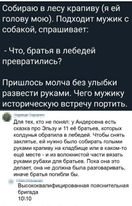 Собираю в лесу крапиву я ей голову мою Подходит мужик с собакой спрашивает Что братья в лебедей превратились Пришлось молча без улыбки развести руками Чего мужику историческую встречу портить Для тех то не понял у Андерсена есть сказка про Эльзу и 11 её братьев которых колдунья обратила в лебедей Чтобы снять заклятие ей нужно было собирать голыми руками крапиву на кладбище или а какомчто еще месте