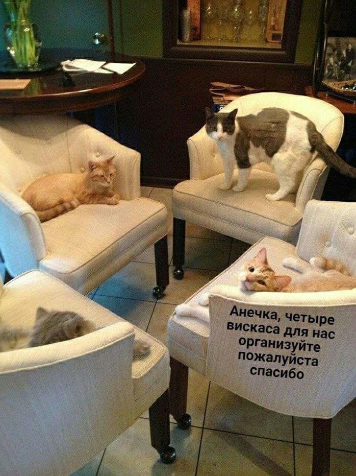 Ане Джа четыре Монада для нас Рганизуйте жадУИста спасибо