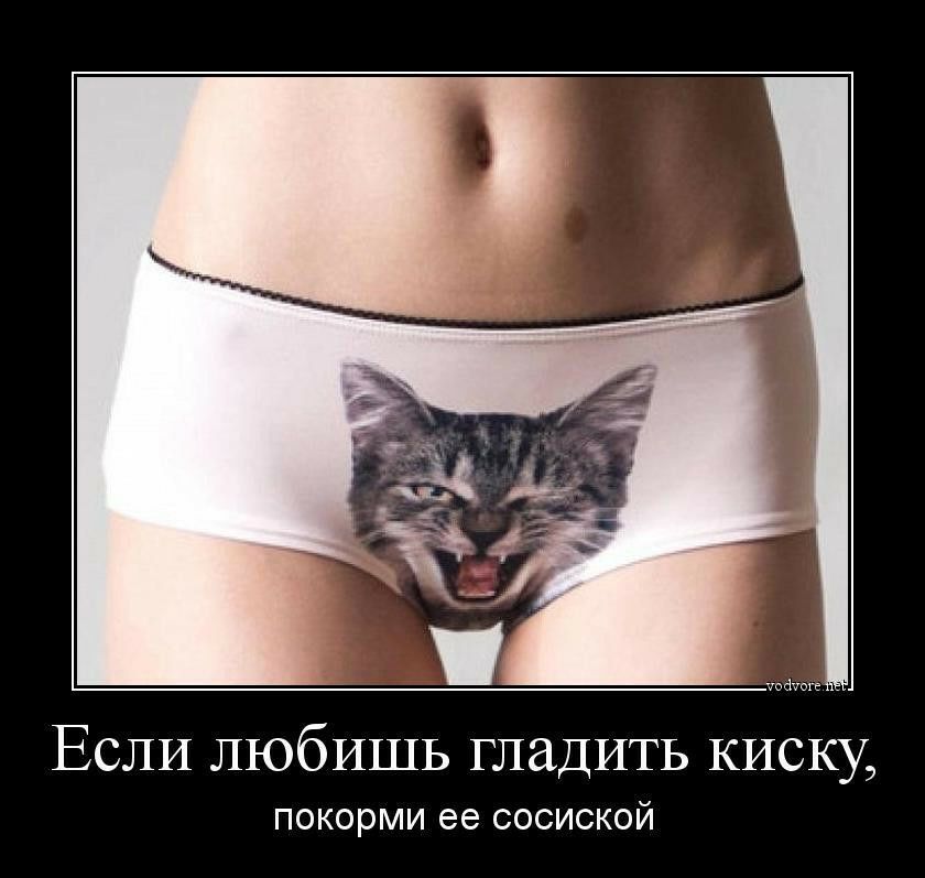 ЕСЛИ любишь гладить киску ПОКОРМИ ее СОСИСКОЙ