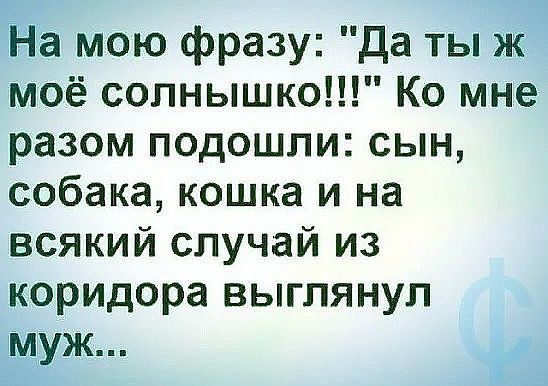 На мою фразу да ты ж моё солнышко Ко мне разом подошли сын собака кошка и на всякий случай из коридора выглянул муж