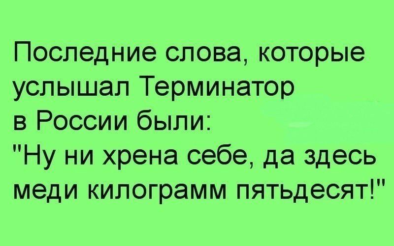Последние слова которые услышал Терминатор в России были Ну ни хрена себе да здесь меди килограмм пятьдесят