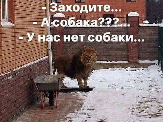 Ё д Захбдите д 7 по