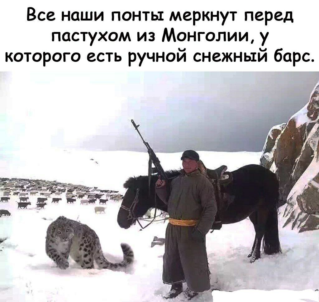 Все наши понты меркнут перед пастухом из Монголии у которого есть ручной снежный барс 7 4