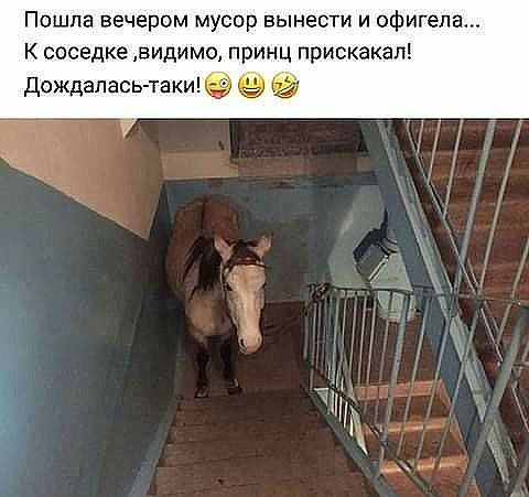 Пошла вечером мусор вынести и офигела К соседке видимо принц прискакал